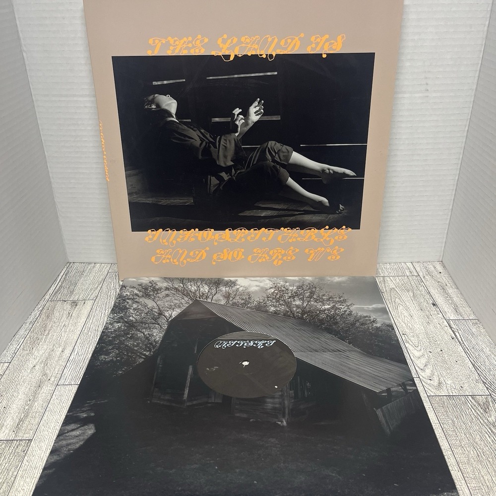 The Land Is Inhospitable and So Are We by Mitski (Record, 2023)